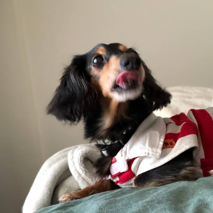 0758606a fa29 4e4f 84e0 f430e910eee1 1574124945860