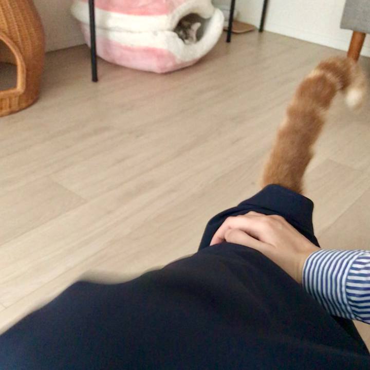 07588b5b b77a 448c 9ee9 5c6ab842a742 1548633841308