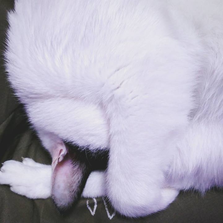 07588f41 f58c 47bf 8419 2a301c16d2c7 1545307771226