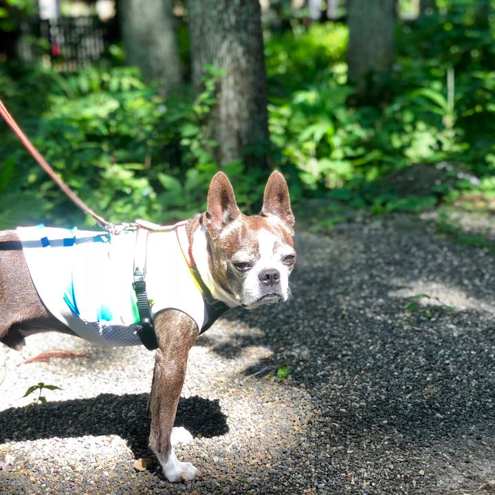 07589015 2db3 4a3d ab1c b9f6b63bc365 1532147709591