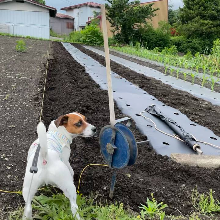 07594b7e 81f7 4177 a5d4 c96317ec3e9b 1624942447985