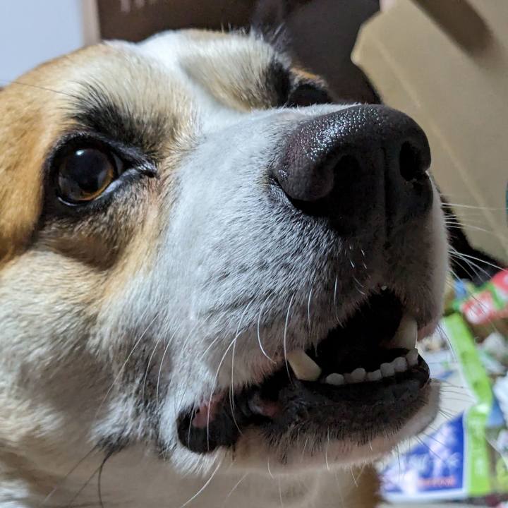 07595fee 88ec 4c9e 82f3 3be18e5d165e 1715665088025