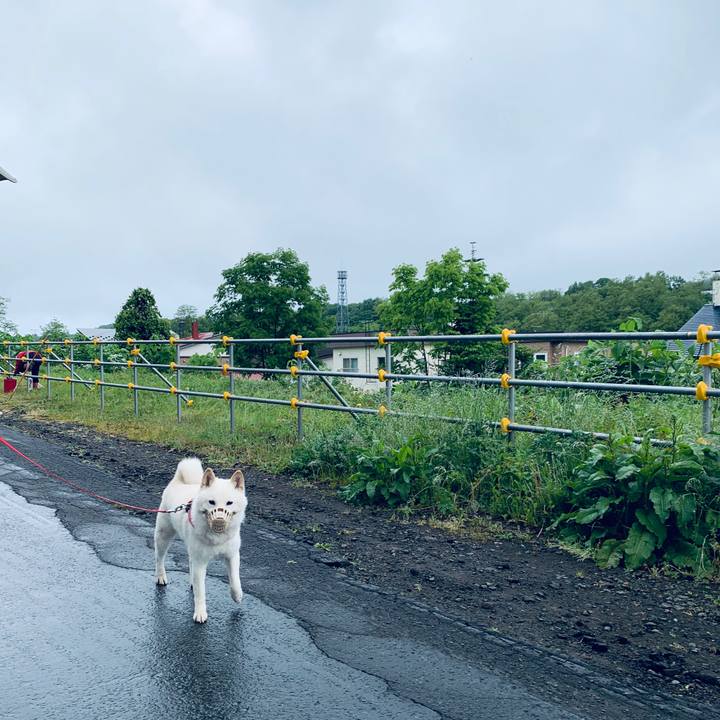 07596afd 8bdf 4479 9967 ad1b26d46714 1591480276692