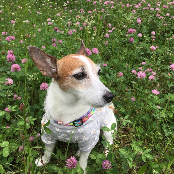 07598b65 a5e6 4d8a 8af7 09c441a89fc0 1652656993141