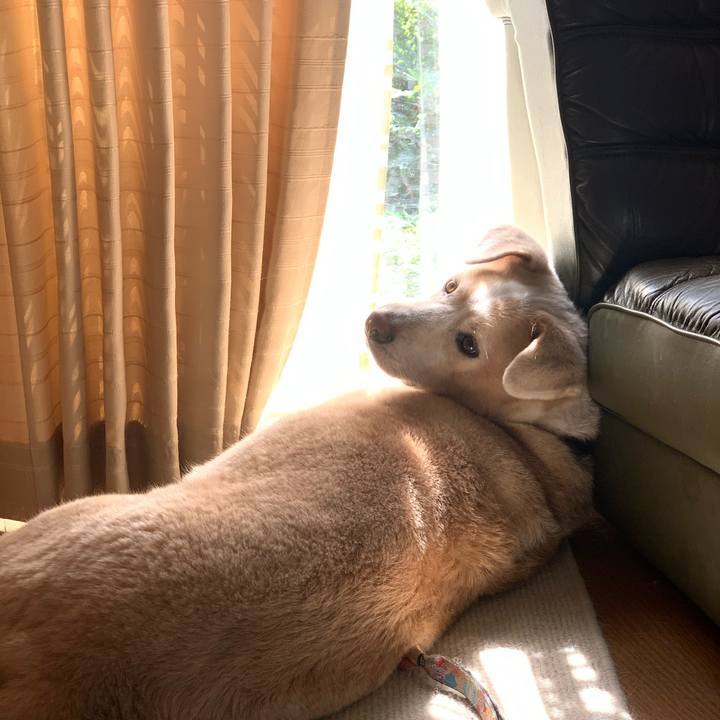 0759c0ab c533 4b0a 873c ebbf2266375c 1601173557547