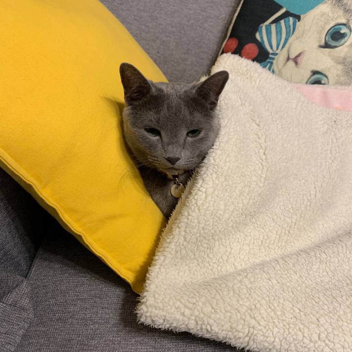 075a22e1 f64c 4a47 9c6d 2f53d13eedf9 1645913835779