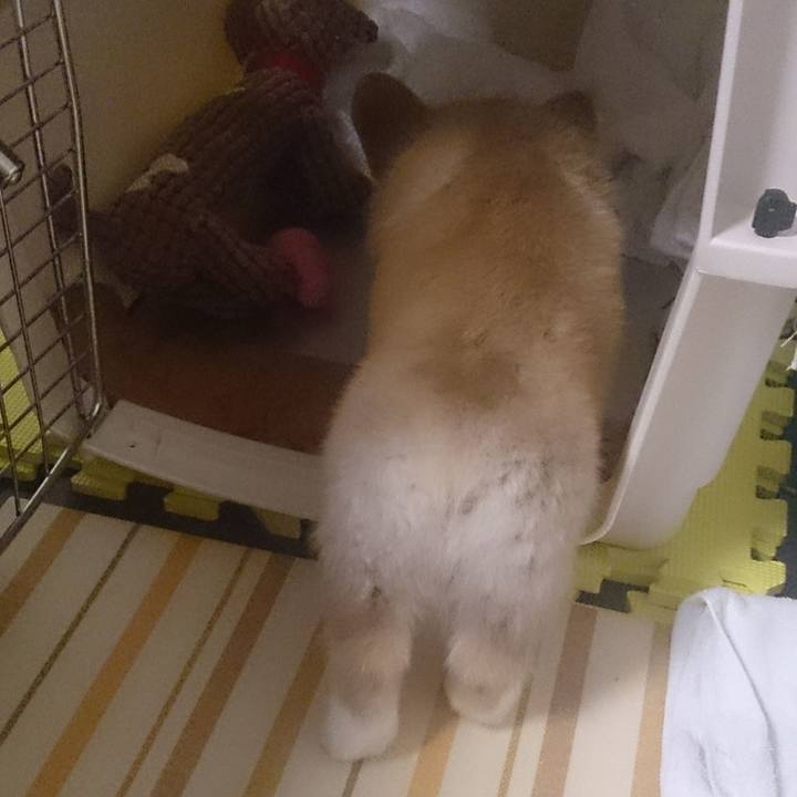 075a37fd 1cb4 4ec5 a928 8c6d1fe9c249 1626579561670