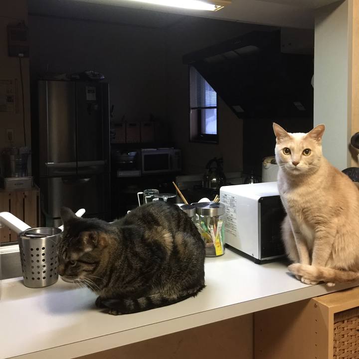 075aa447 91e1 47e2 8a7c 7e57d7ba0cfc 1515881705917