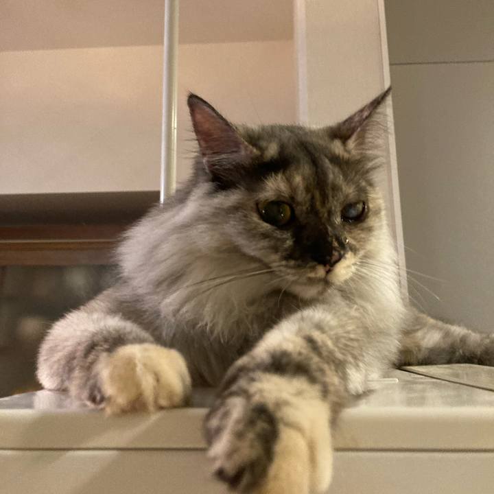 075aaa6e 1177 4f04 a56c 4fcb7ee1fe15 1726232483156