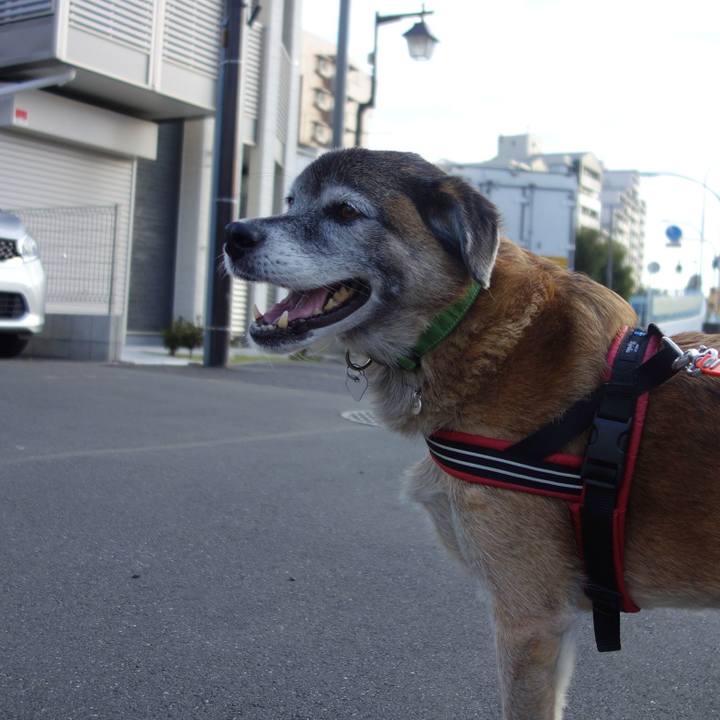 075aef2d 80ad 4591 8ab5 7a604bb337be 1572650124970