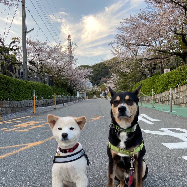 075af2cd 04b7 4098 8cbe 27223d4d8bbb 1680666469210