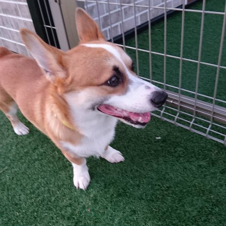 075afeab adcb 4655 bcff 2862ea44e7e7 1566887357943