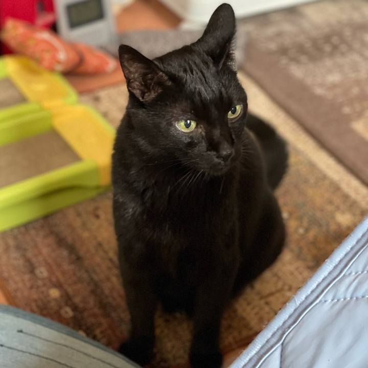 075b03bf 9b39 406c 9087 b262b2a04bf1 1661822859761