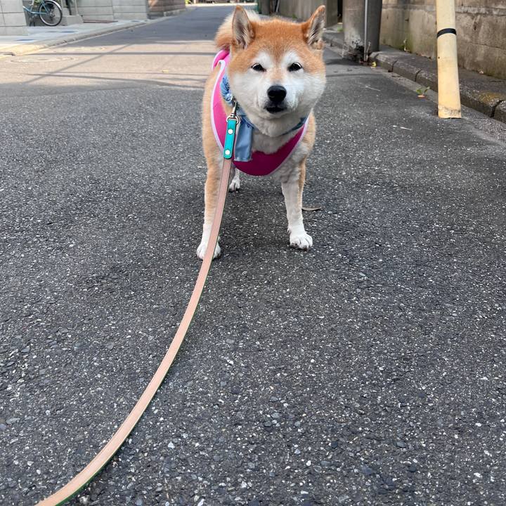 075b0cd5 ad57 47b0 8b40 b03de97e81c5 1718838134785