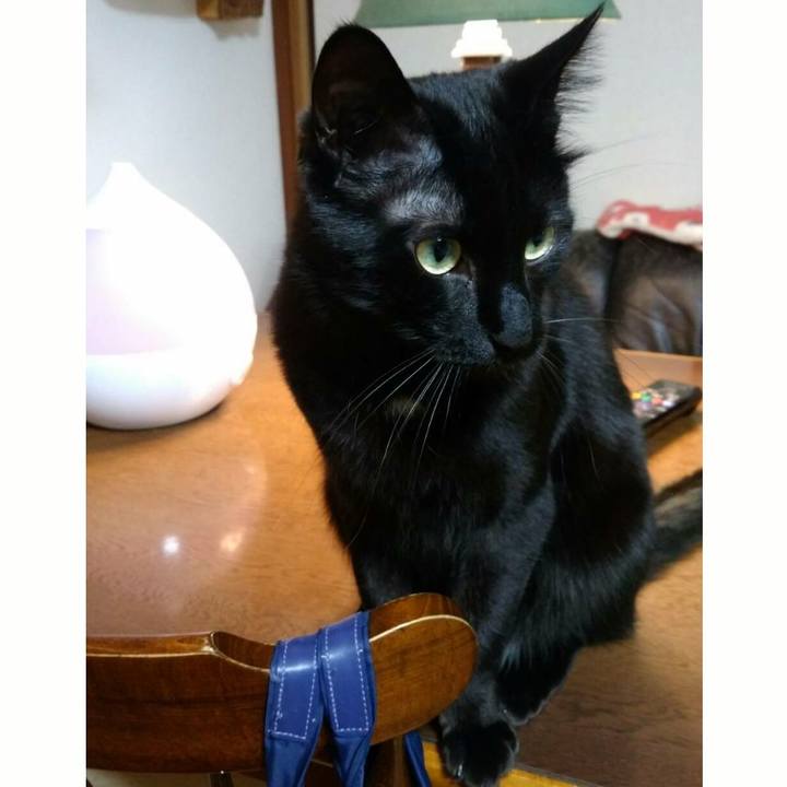 075b46bf 20c9 4e48 873f dfe639a5fbb3 1517405890654