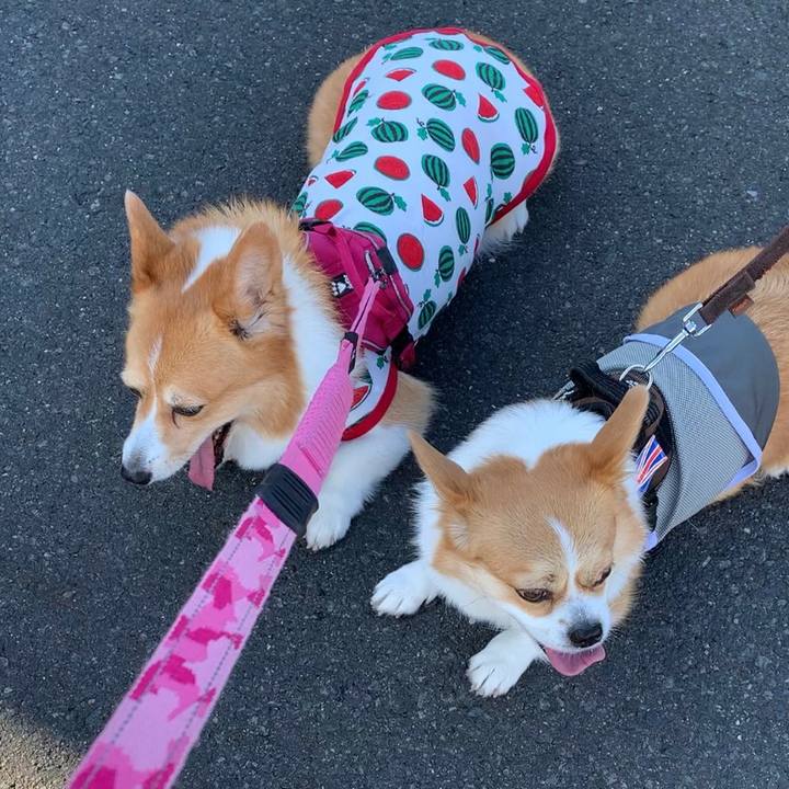 075b558f 9b29 4eb4 9e75 8d72db3f27ec 1659050684736