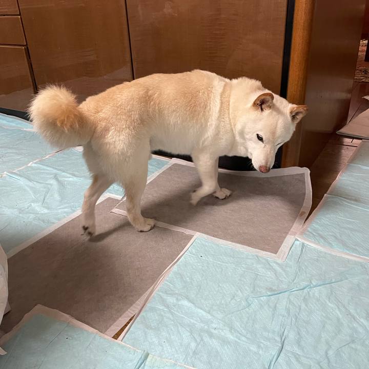 075b79e5 10c5 4a57 ba4e 0d619b5e7cd1 1634091493581