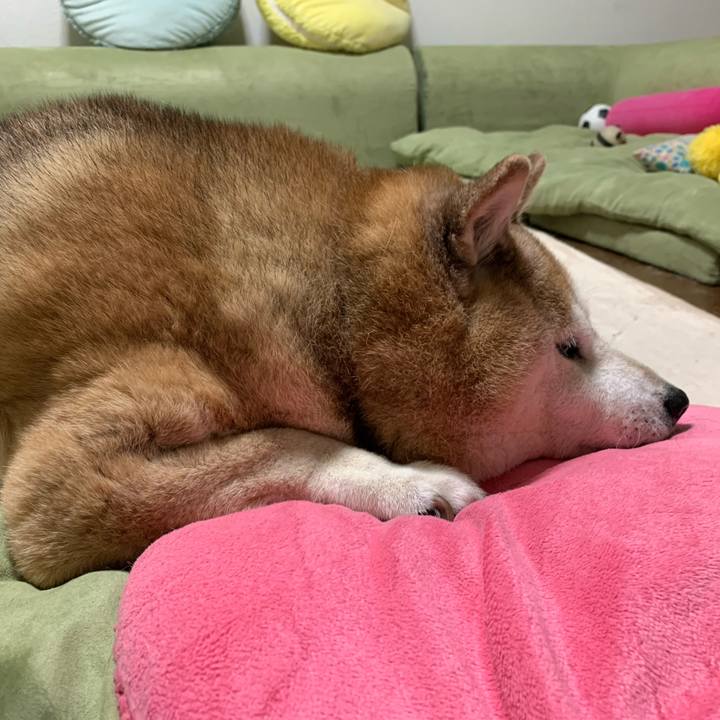 075b8379 1a7e 49a9 af6d 91520aca6b1a 1589807290725