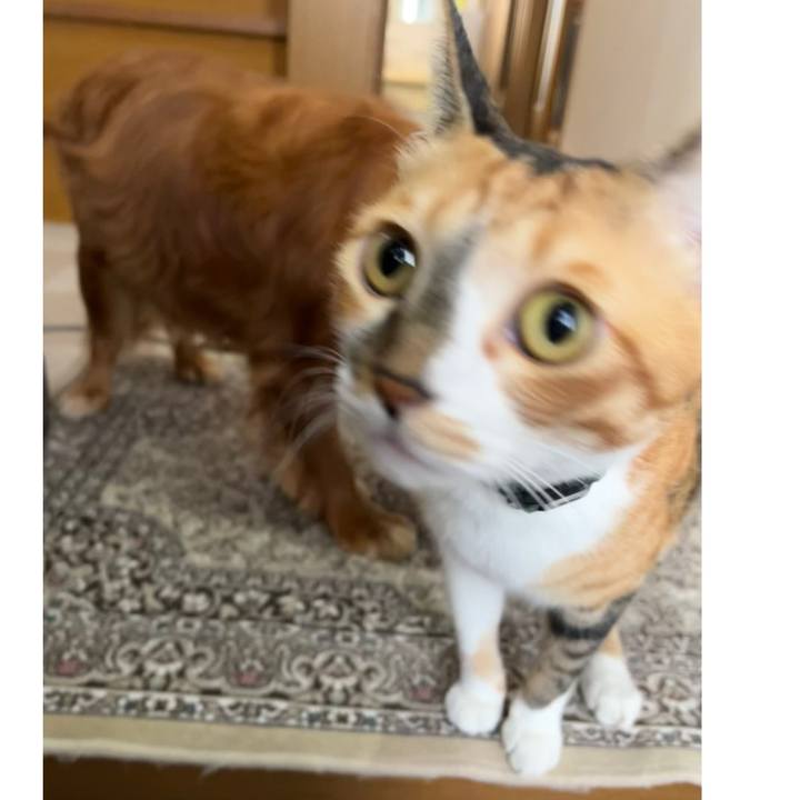 075c0623 1b5c 4da9 a358 ec50fef33d72 1727323925599