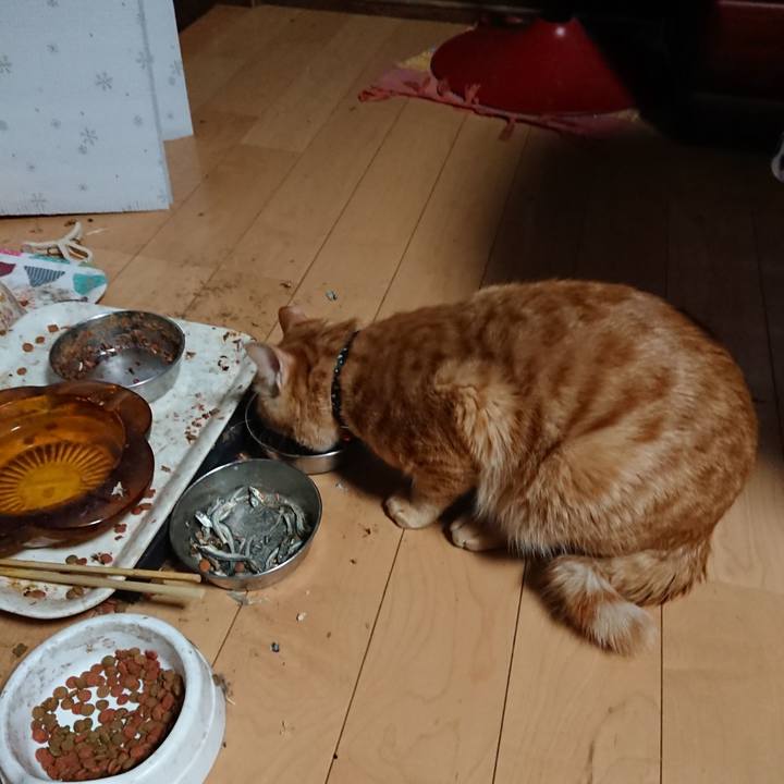 075c490e 0620 4651 b2c9 c0f3413227bf 1644268145091