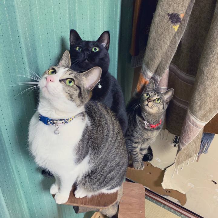 075c8c53 237d 495f 884d 2772610932b5 1549120460477