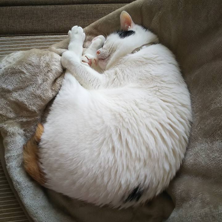 075c94b9 e253 43b1 87ea cab6f97d2e87 1570495686877