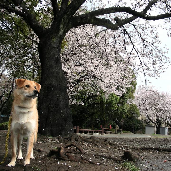 075ca9eb 5dac 4563 bca9 f6793a2d3efc 1651049072718