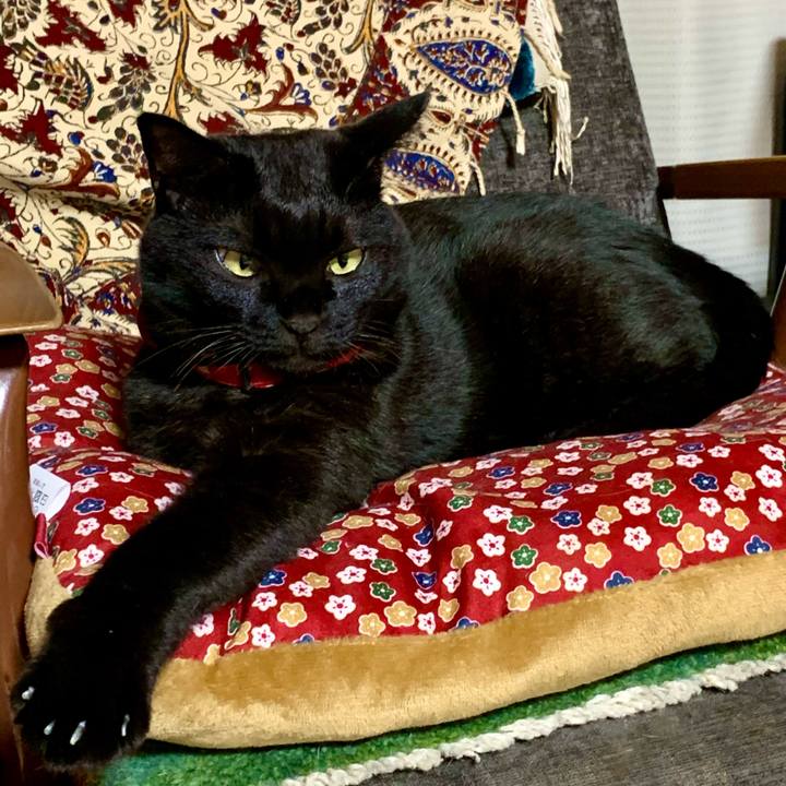 075d023c 9a07 414d b223 b63ea0764fec 1605182493687