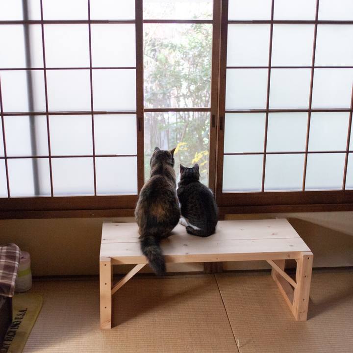 075d2145 52d2 4b1b a0d4 3fc652399572 1575631500549