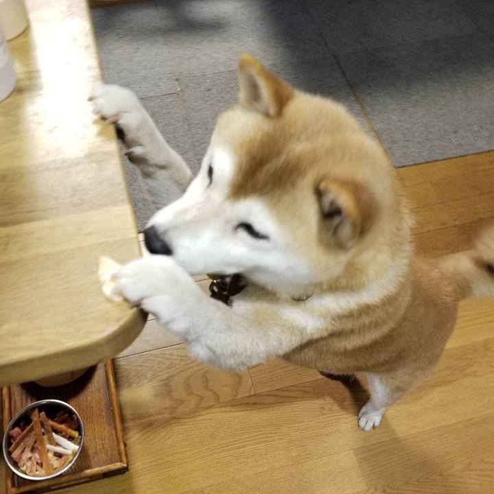 075d36b9 7e24 4ea4 b732 5f9d32cdc856 1629795082930