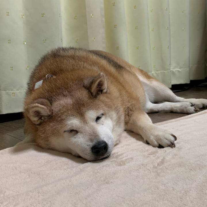 075d375c dfb0 4ca9 b59c db75e892cdf9 1601905601829