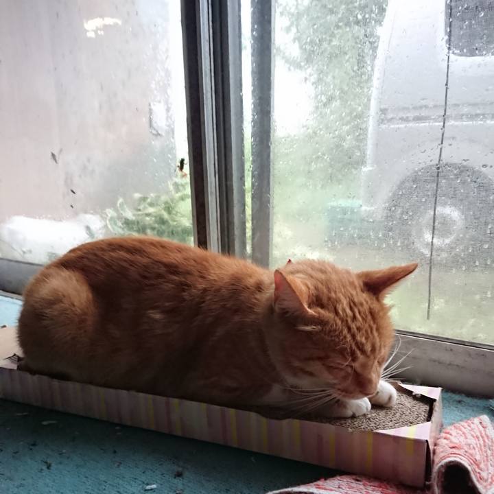 075d3d2a 5748 438f ab2f 2cb8a31c8e85 1597523246670