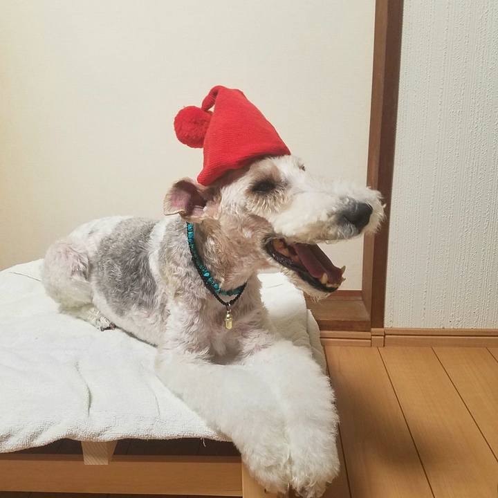 075d4d2f ea50 4c96 960a b6b7a16b07c5 1565758819063