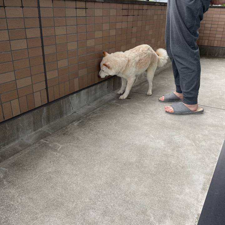 075d7e8f 52ac 492f a3aa 837f2959b3a8 1652082988614