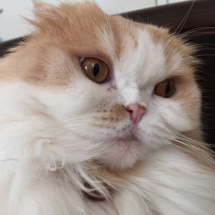 075da0ce 1854 44c1 a3ea 4fac59252eb4 1573340804645