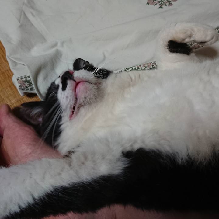 075db03b 6b76 4717 b9ed 7d5b7ce7f33c 1564701764605