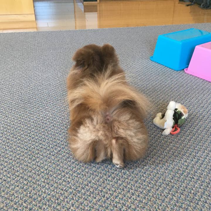 075dd969 efe1 40e4 a75c 96568d9d5b2d 1526795491065