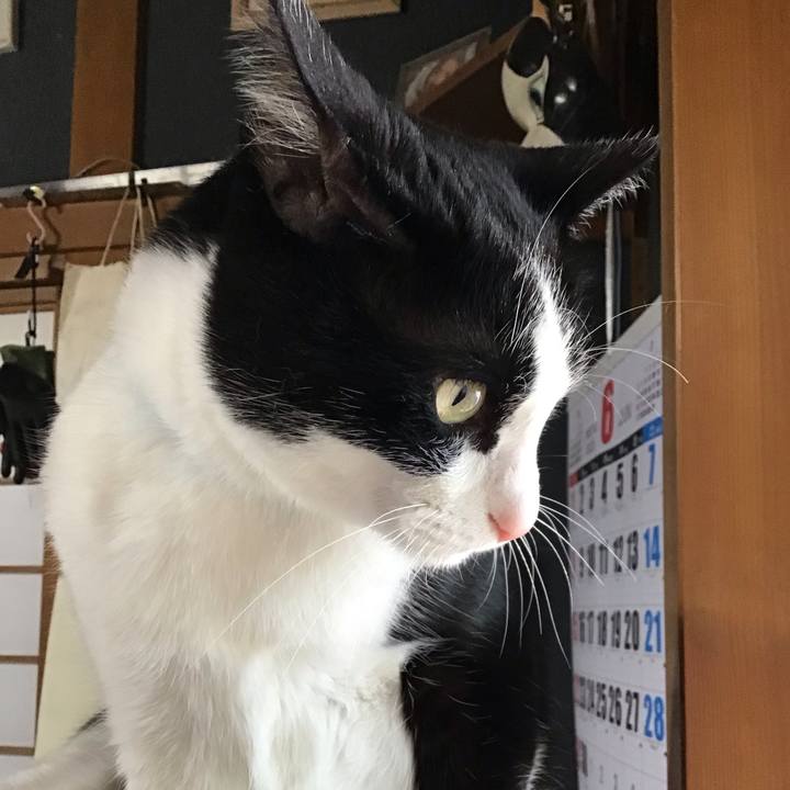 075de8e6 3180 4cc0 915c aad43136d3d6 1749030609645