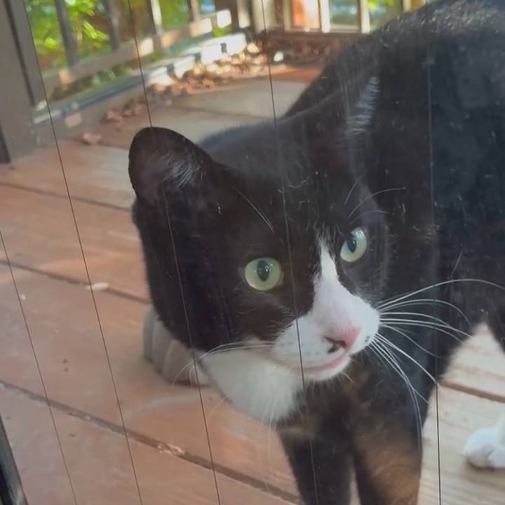 075df9f5 d37a 4d58 89c1 e1c25ecd55a7 1757153827131