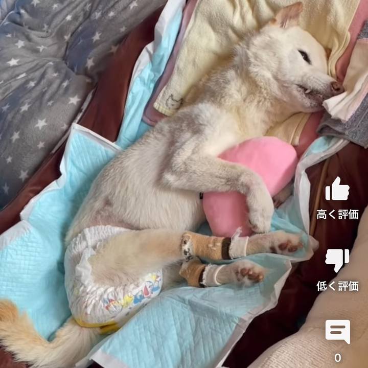 075e2416 5fa1 4a4e 92b9 e09271abe92b 1679031289477