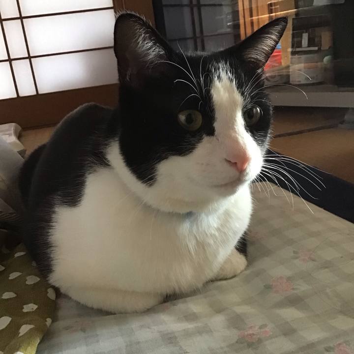 075e29cf c6d5 4664 a076 7285cf0c7f4f 1708419251658