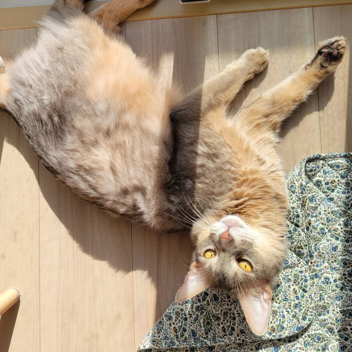 075e32ef db65 4538 b180 af73c9bf3a0b 1635578609399