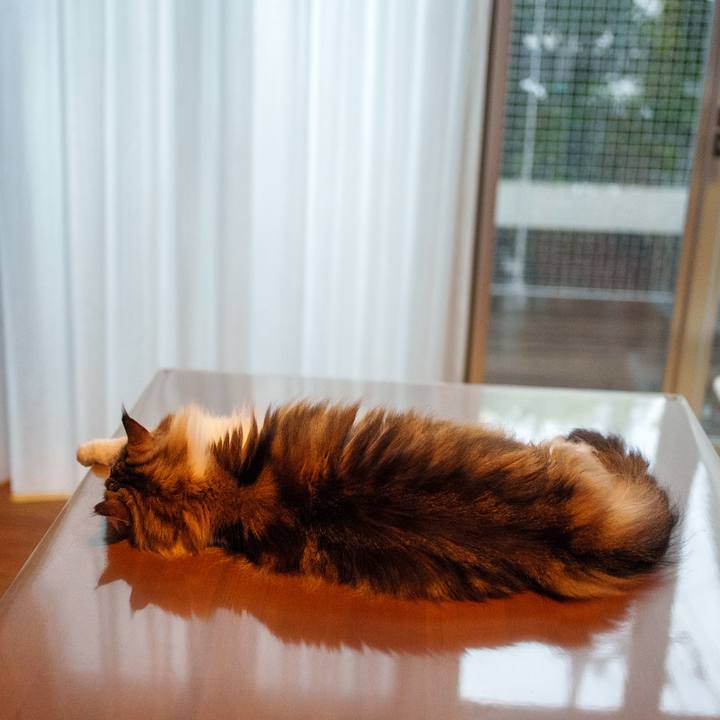 075e49f7 fc75 4481 a6b8 9ae640693a6e 1716887700432