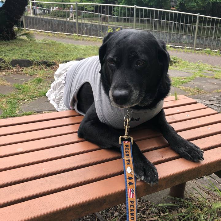 075e681f 8876 44bd 87c6 d3a94744120b 1557363689545