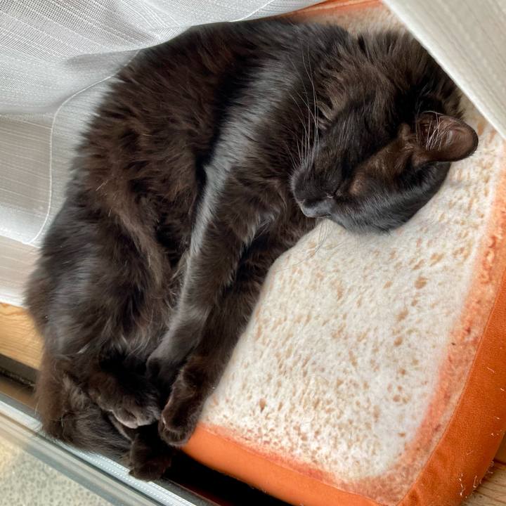 075e8895 9cad 4050 83cd 2104d43012d6 1748846340188