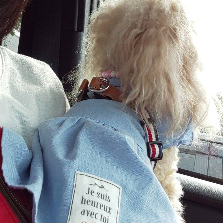 075ecf7c ff6b 4d97 b7c5 7362afd7427e 1589629129000