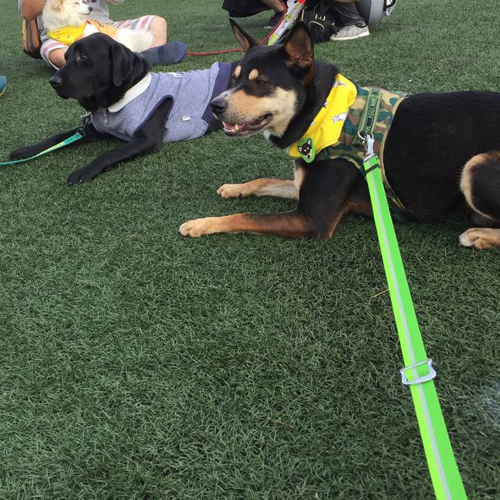 075ee5d2 23cd 4a3c 8b9a bb16b8637aad 1541855454838