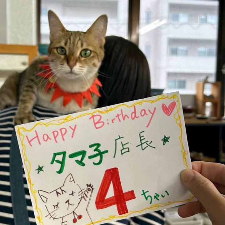 075eee97 3a2d 4d13 b2c6 95c826efa521 1688218711371