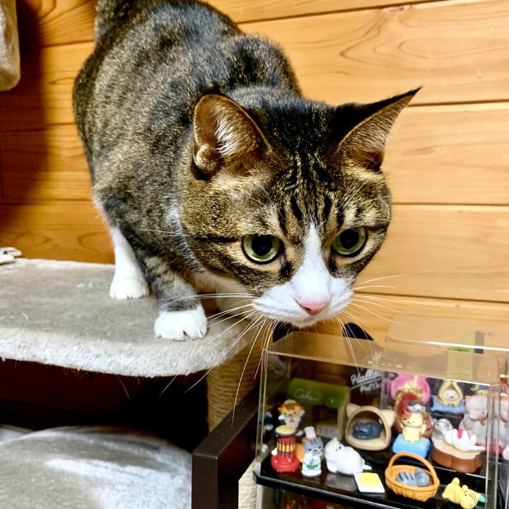 075f0816 b30f 4d1a 8ab3 ccd634738747 1602333956034