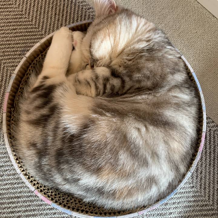 075f0da9 29cf 4f6d 8d47 f1d751afc3e0 1706919097296